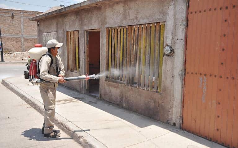 Brasil Enfrenta La Peor Epidemia De Dengue De Su Historia