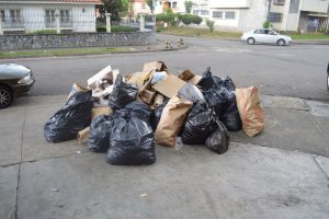 el trigal valencia