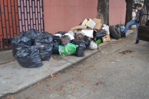 el trigal valencia