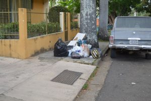 el trigal valencia