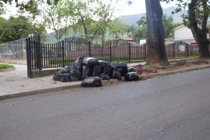 el trigal valencia