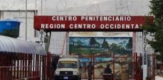 Cinco fallecidos