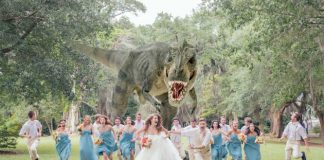 Dinosauri boda