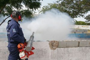 dengue Aragua