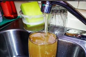calidad de agua en carabobo