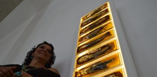 Bienal 39