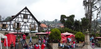 municipio Tovar