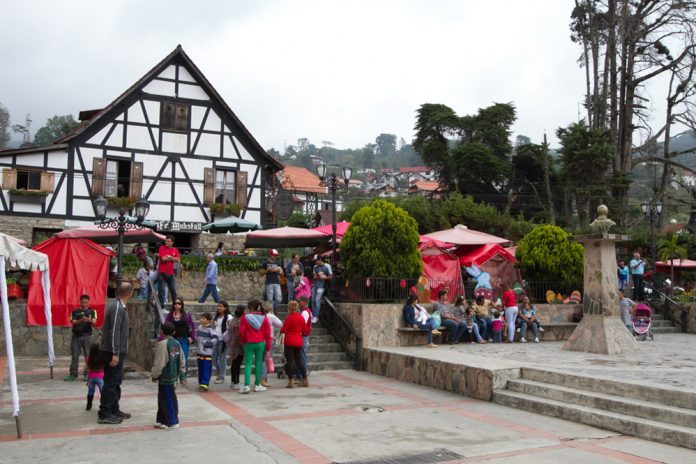 municipio Tovar