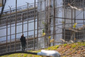 podrán tener contacto dentro de Ramo Verde