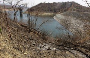 Fedenaga: Gobierno no atendió a tiempo alerta de sequía y el campo está 'bastante mal'