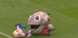 Mascota