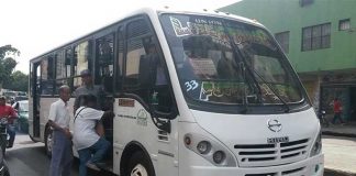 bus