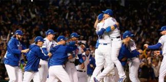 cachorros de chicago