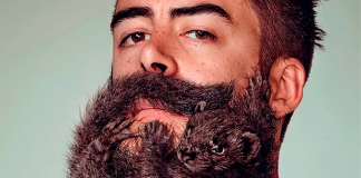 barba