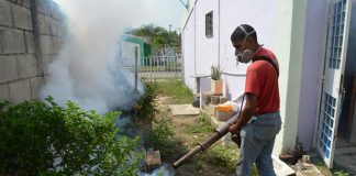 fumigación