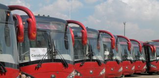 TransCarabobo