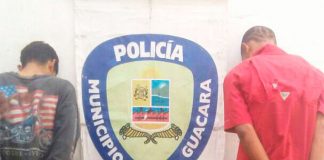 Guacara
