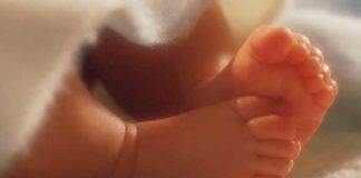 pies bebés-feto