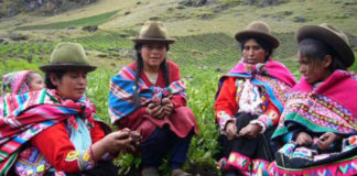 Mujeres Rurales