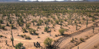 desierto de Arizona-EEUU