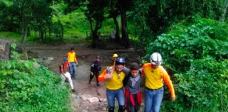 excursionistas abejas río Vigirima - Noticias Ahora