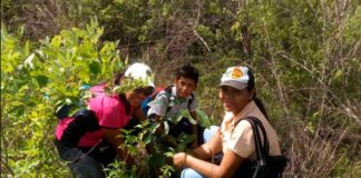 reforestacion parque La Guacamaya - Noticias Ahora