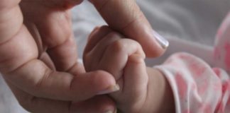 bebé madre muerte cerebral- Noticias Ahora