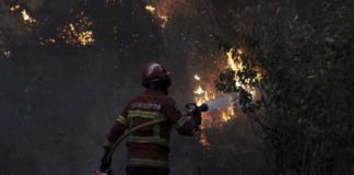 Portugal incendio- Noticias Ahora
