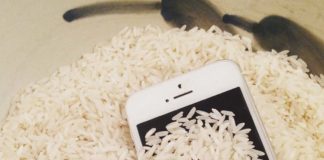 técnica celular arroz - Noticias Ahora