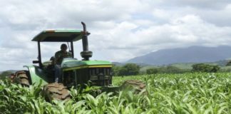 actividades agrícolas ISLR - Noticias Ahora