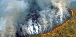 Amazonia incendios - Noticias Ahora