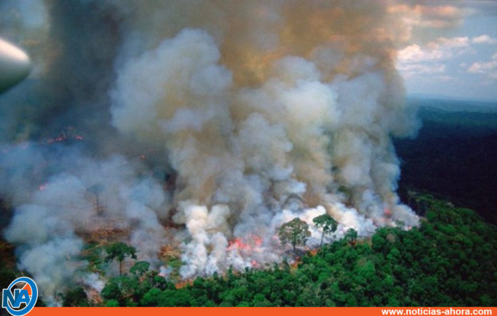 fotografías satelitales Amazonía- Noticias Ahora