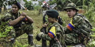 Murieron personas FARC - Noticias Ahora