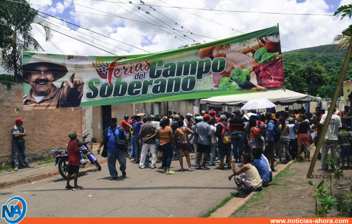 Feria del Campo Soberano Naguanagua - Noticias Ahora