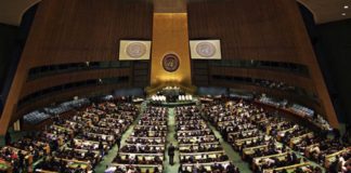 Consejo Seguridad de la ONU - Noticias Ahora