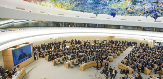 fondos onu- noticias ahora