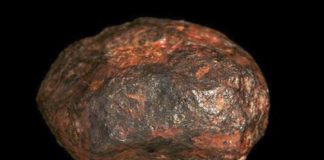 meteorito "edscottite" - Noticias Ahora