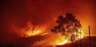 incendios california evacuación personas - Noticias Ahora
