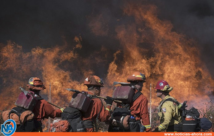 incendio Los Ángeles - noticias ahora