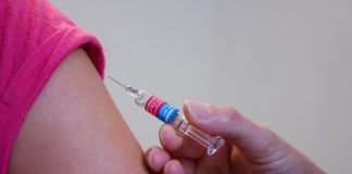 iv campaña nacional de vacunacion - noticias ahora