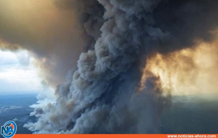incendios forestales de australia - noticias ahora