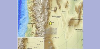 sismo argentina - noticias ahora