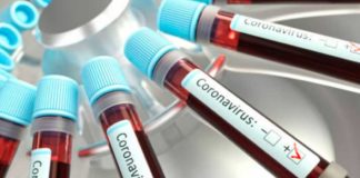 Estados Unidos coronavirus - noticias ahora