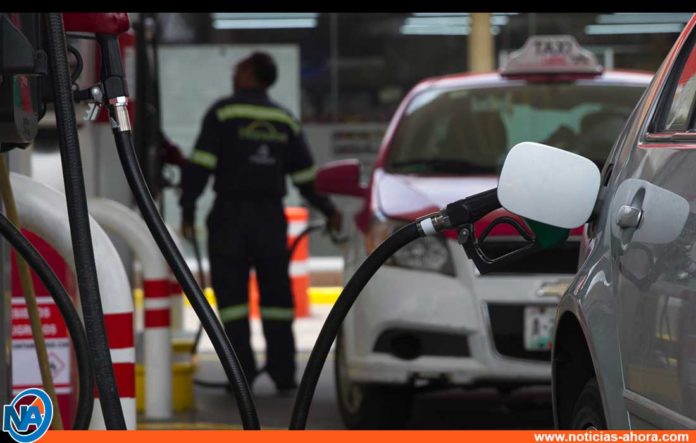 precio de la gasolina - noticias ahora