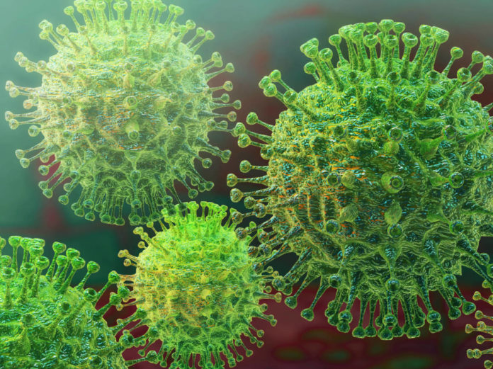 coronavirus altas temperaturas - noticias ahora