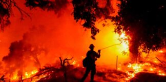 incendios forestales en California - noticias ahora