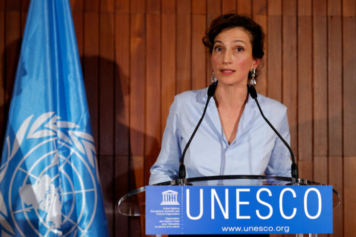 Unesco asesinato periodistas - noticias ahora