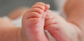 muerte de cuatro bebés - noticias ahora