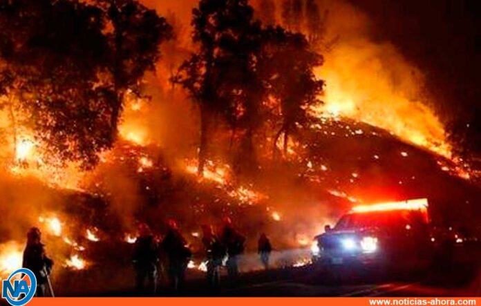 incendio en Los Ángeles - noticias ahora