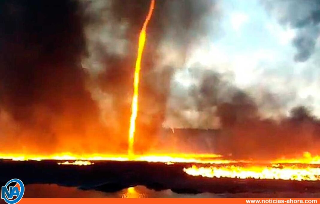 Captan Tornado De Fuego Dentro De Los Incendios De California En Eeuu 9717